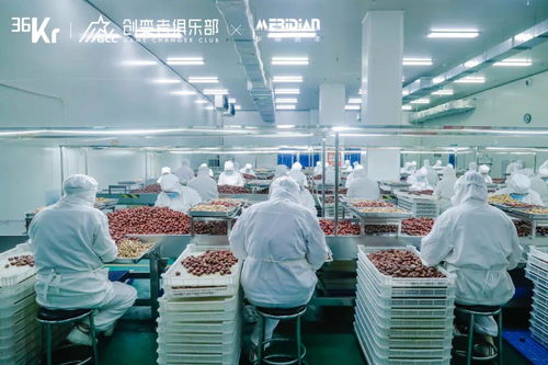 源頭工廠 消費(fèi)產(chǎn)業(yè)增長(zhǎng)的韌性引擎——互聯(lián)網(wǎng)銷(xiāo)售新業(yè)態(tài)下的產(chǎn)業(yè)帶計(jì)劃